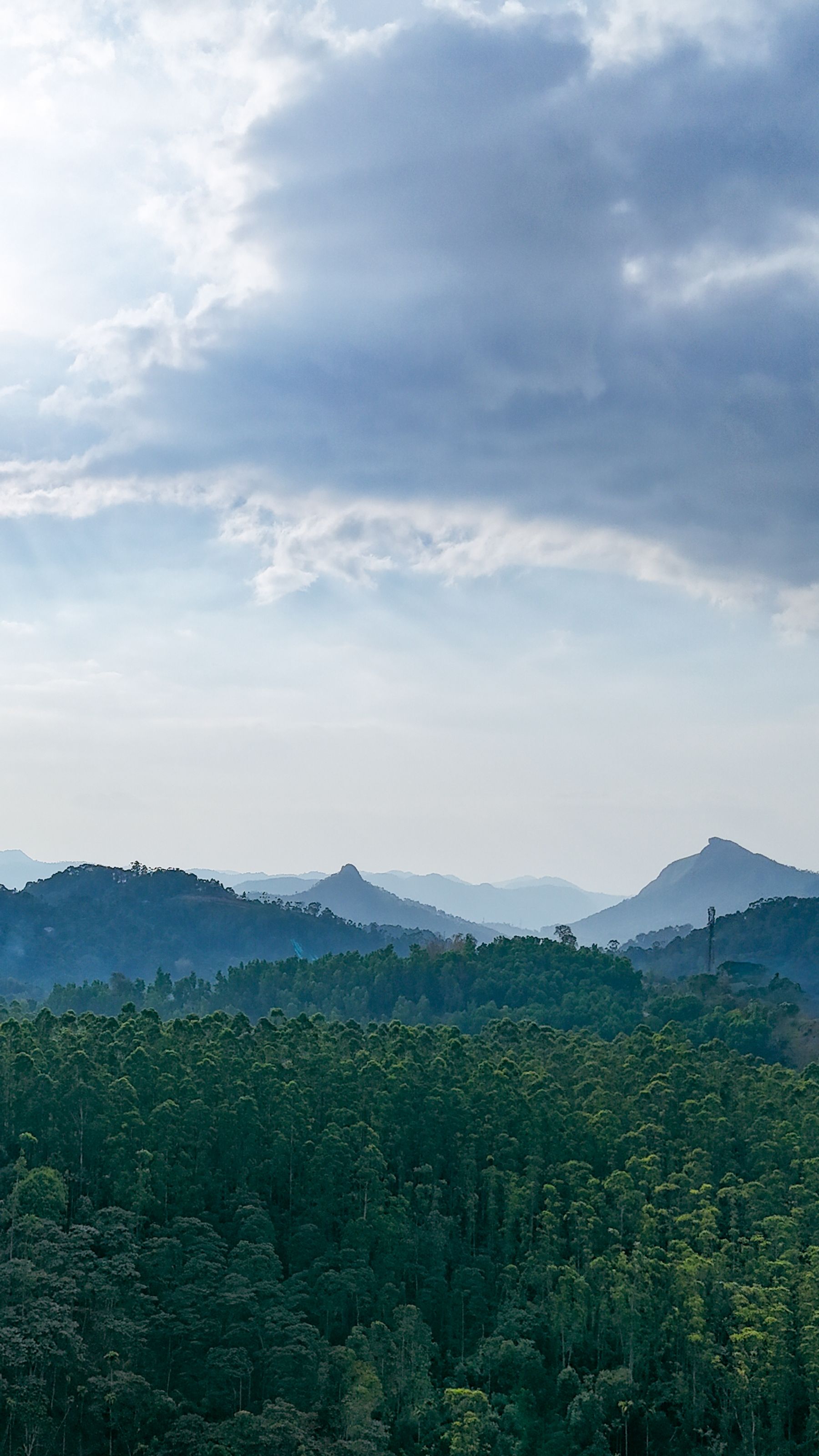 Aerial Mountain And Forest Landscape